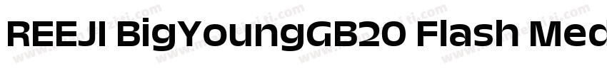 REEJI BigYoungGB20 Flash Medium字体转换
